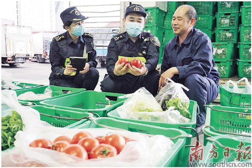 拱北海关助供澳 菜篮子 抢鲜提速