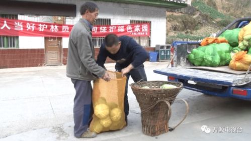 万源 食用农产品凭证上市,打造质量安全 新名片