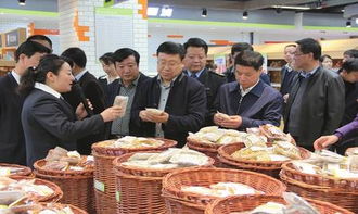 双安双创 牢筑食品药品安全防线 平凉市崆峒区食品药品监督管理局工作纪实