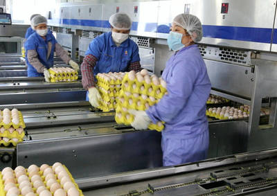 “双节”期间全省主要农产品价格走势如何?来看权威分析